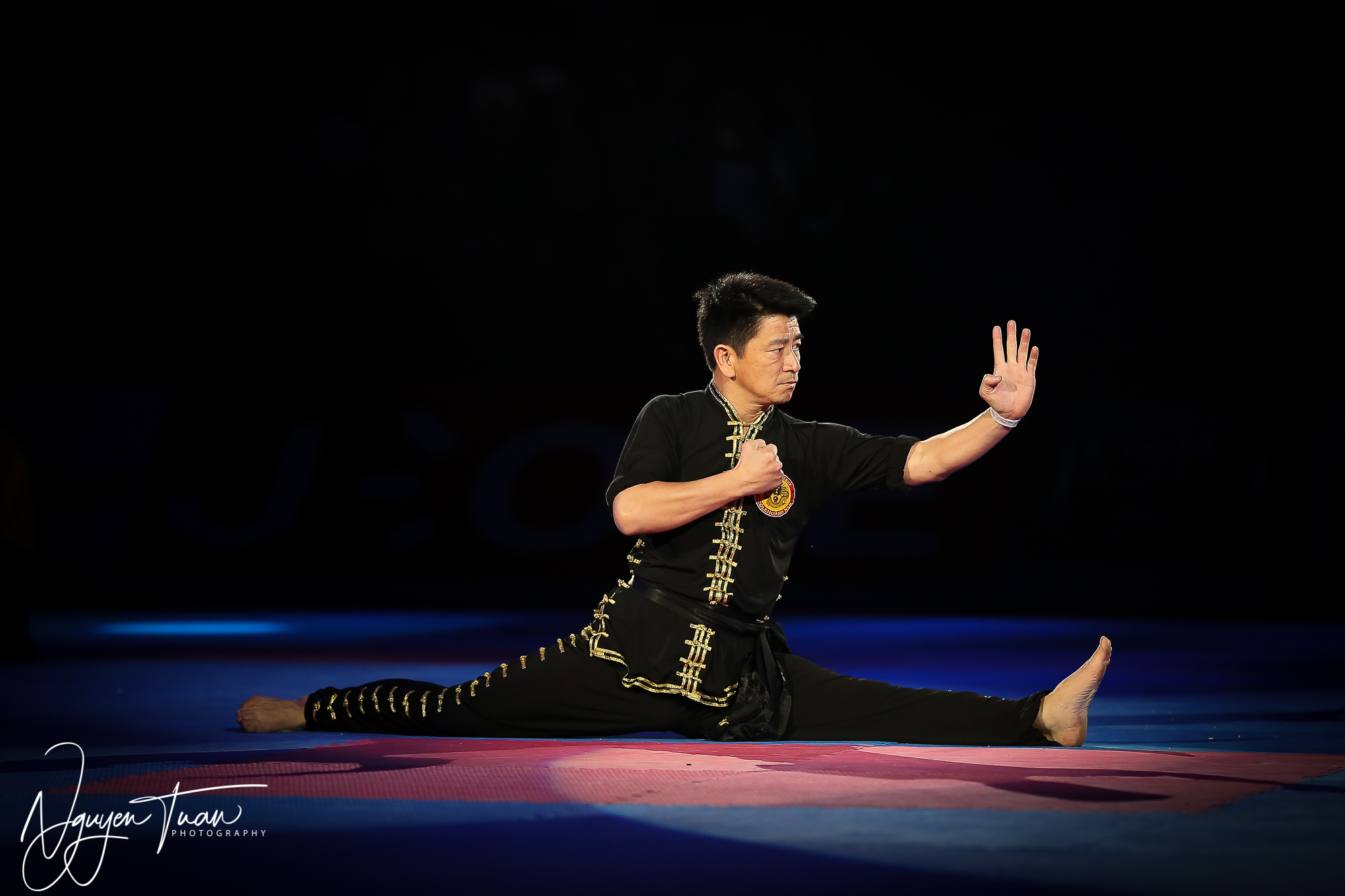 20190324 Festival des Arts Martiaux 4965